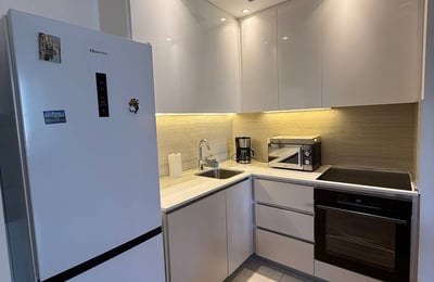 Rental of a bright 2-room apartment, 57 m², BW Aria, Belgrade Waterfront, Belgrade, Serbia